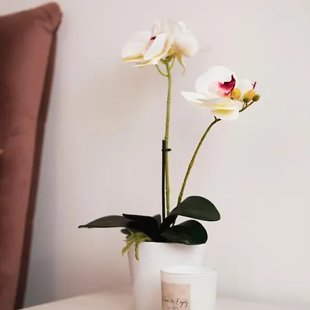 펜션 Viale Patrono D'italia *